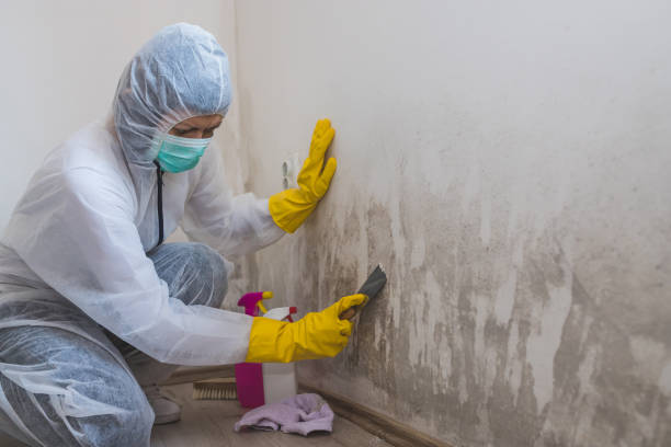 Mold Remediation for Vacation Homes in Orosi, CA